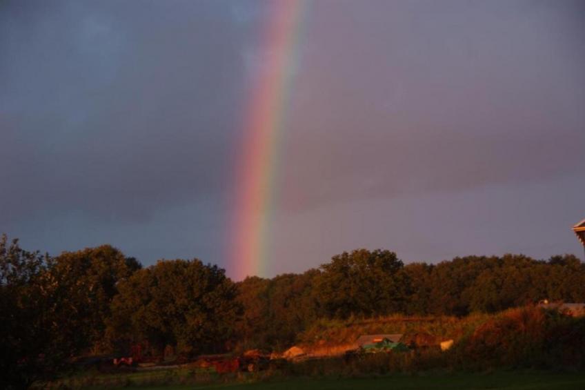 Boshuisje De Koolmees - foto 39