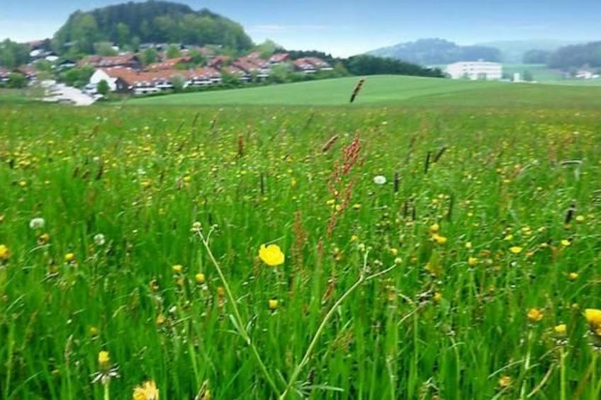 Appartement in Zandt mit Grill - foto 23