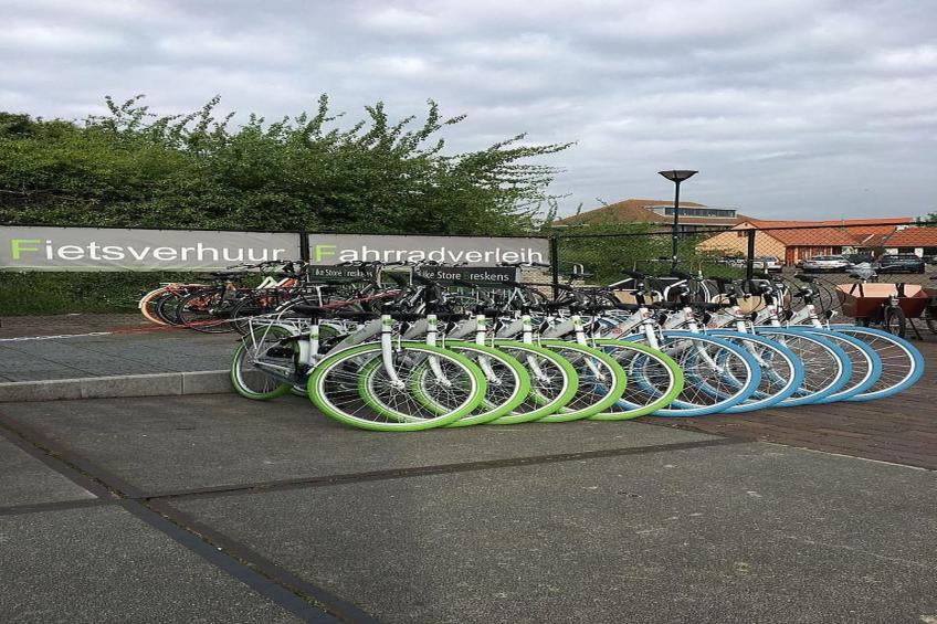 Schoneveld 146 Zeemeeuw Breskens - foto 38