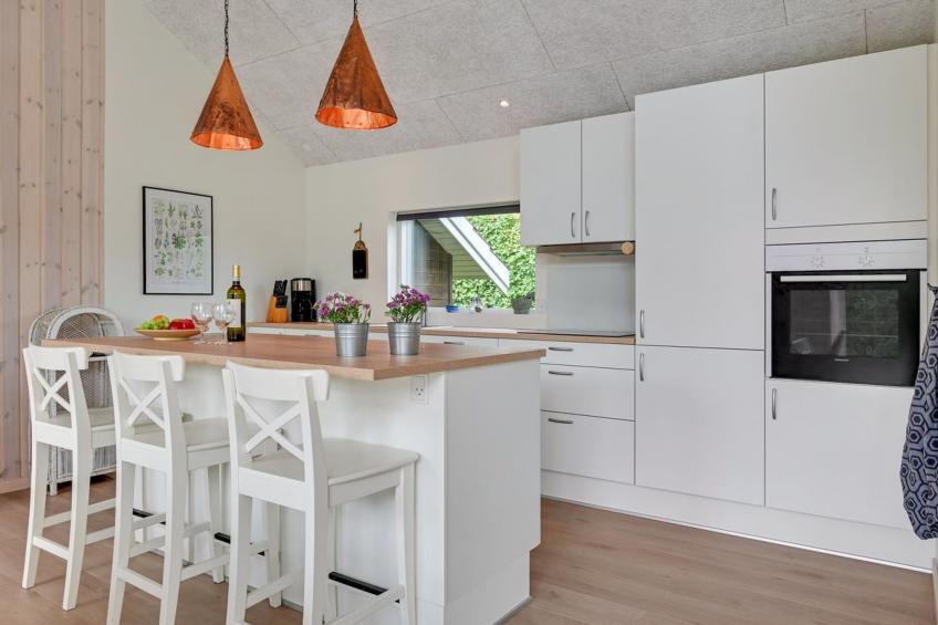 "Regni" - 300m to the inlet in The Liim Fiord - foto 33