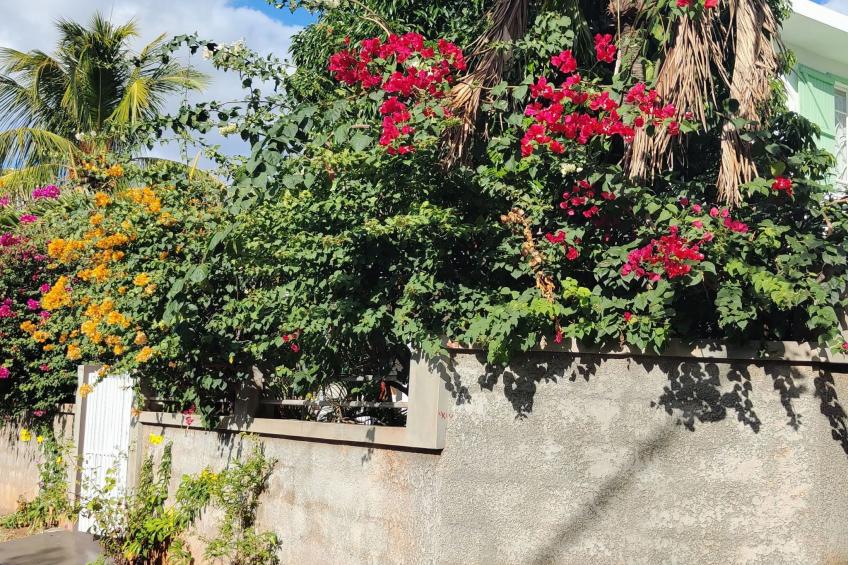 r garden Pointe aux sables - foto 18