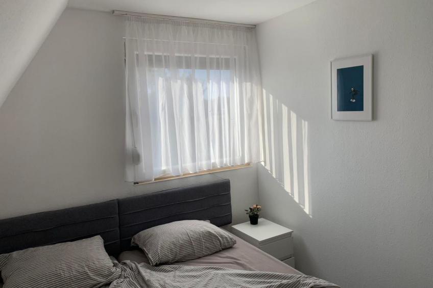 Majoshaza 20 min von Budapest direkt an der Donau - foto 13