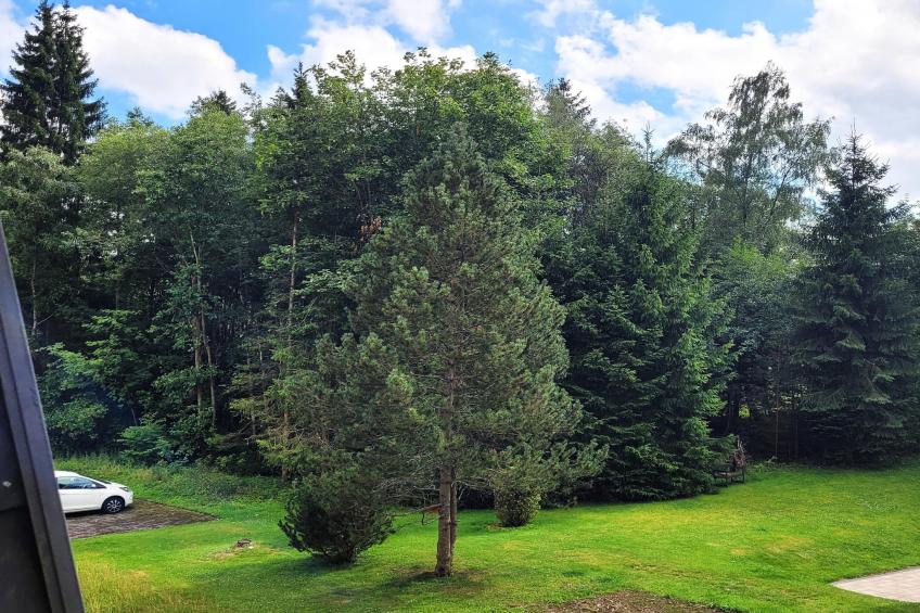 2SZ / 4P Winterberg Appartement 21097 - foto 4