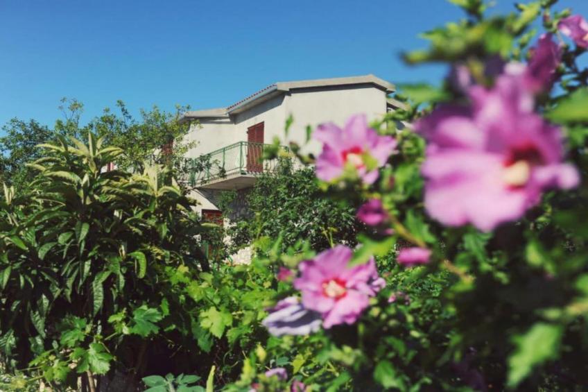 Apartment Antonio - One Bedroom apartment with Terrace - foto 20