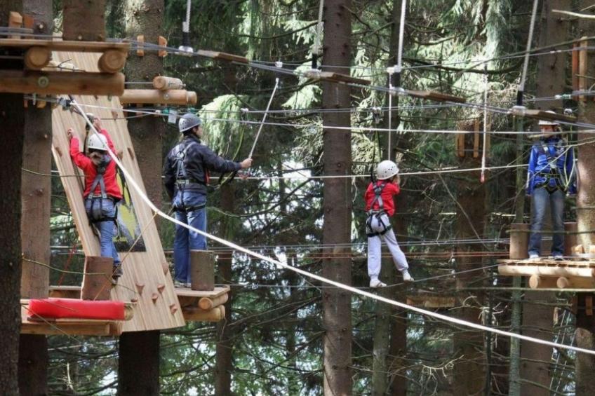 Bayernwald Apartment - foto 16