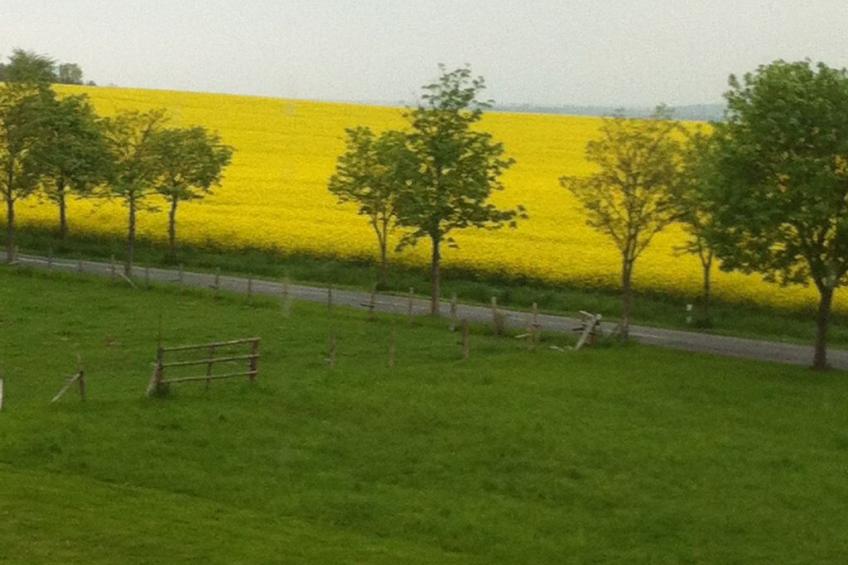Wohnung in Lelkendorf mit Großem Balkon - foto 7