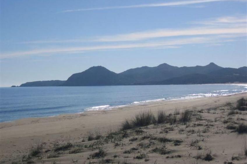 Natur, ökologische Nachhaltigkeit, nur für Erwachsene, Meer in der Nähe - foto 41