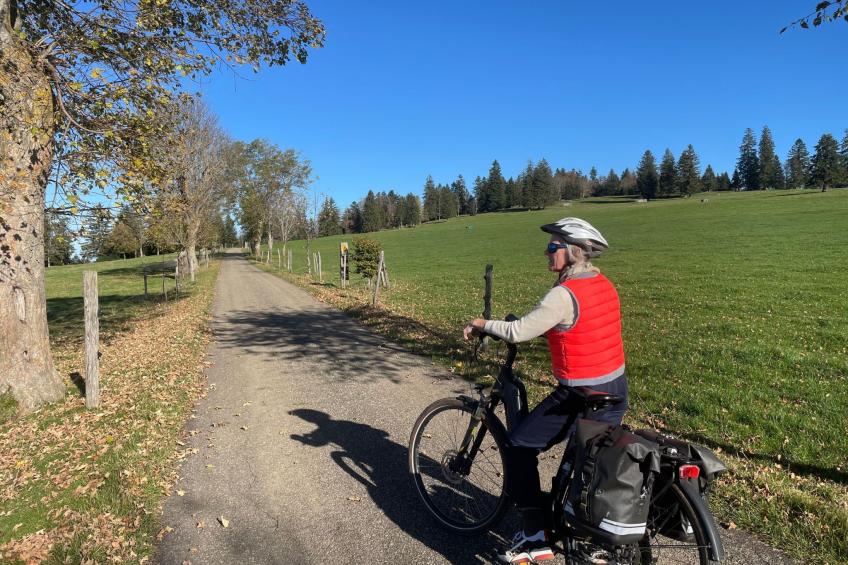 Chalet Désir, Lajoux - foto 15