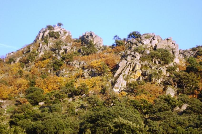 Das Cortijo auf der Finca al-manzil - foto 29