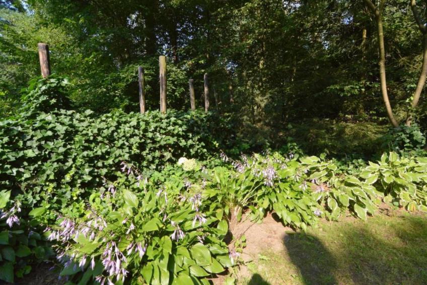 De Weelderik 1 - foto 30