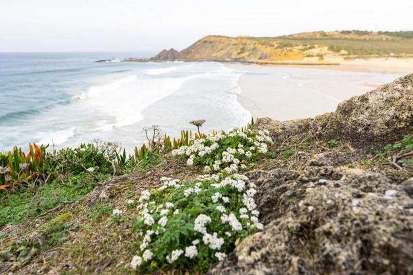 Casa Dos Sonhadores - foto 55