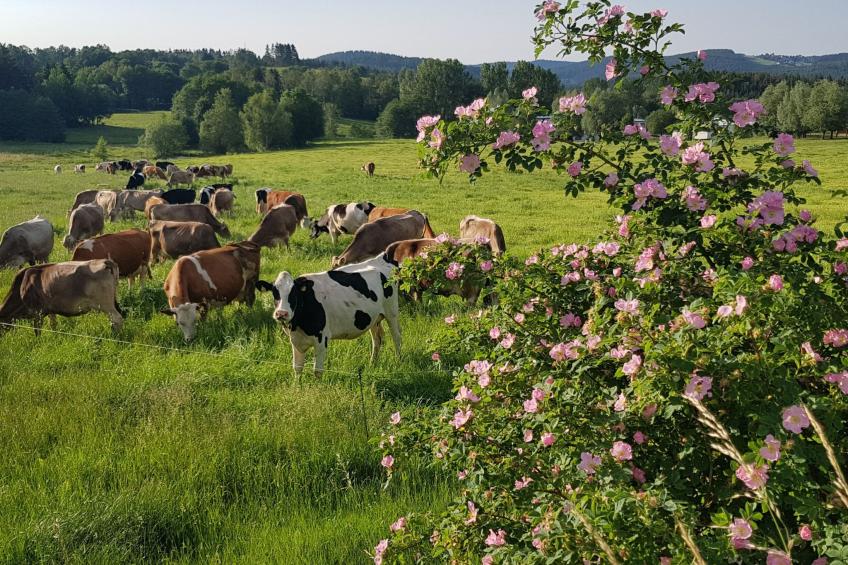 mit Wallbox - foto 29