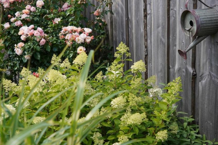 Ruhige Wohnung in Risum mit Garten und Terrasse - foto 23