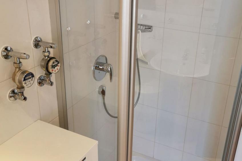 in Ludwigsreut mit Terrasse, Garten und Grill - foto 22