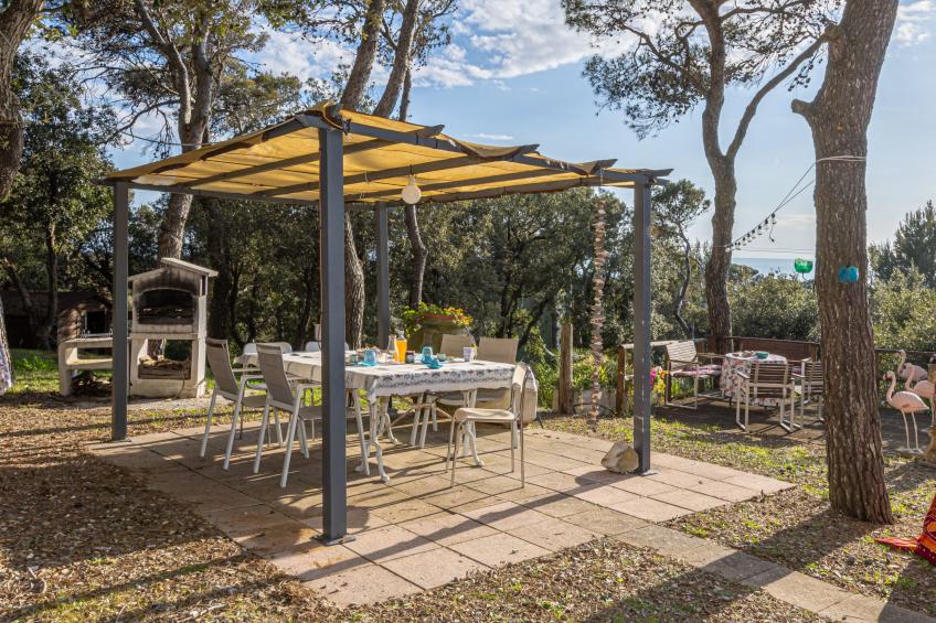 La casetta immersa nel verde - foto 29