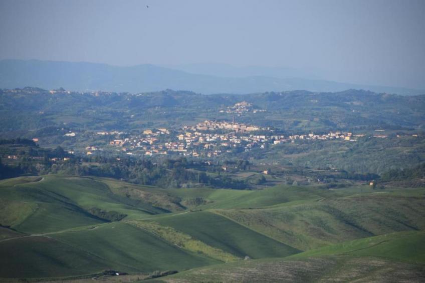 La Casa dei Nonni - foto 31