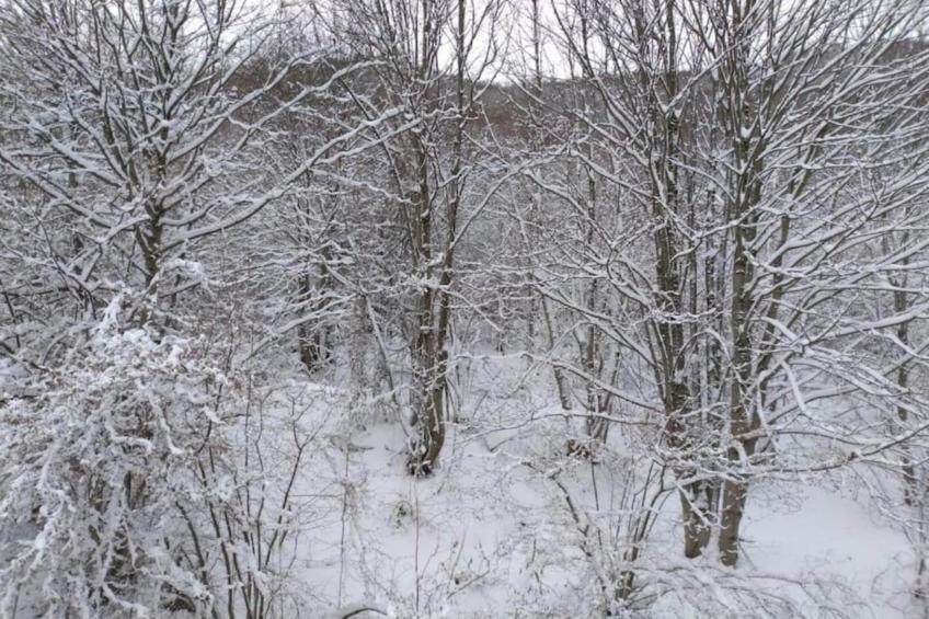 Appartamento in Villa con Giardino e Piscina - foto 39