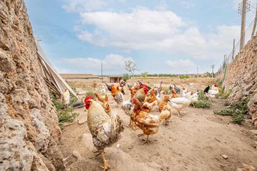 Casa Pequeña - foto 37