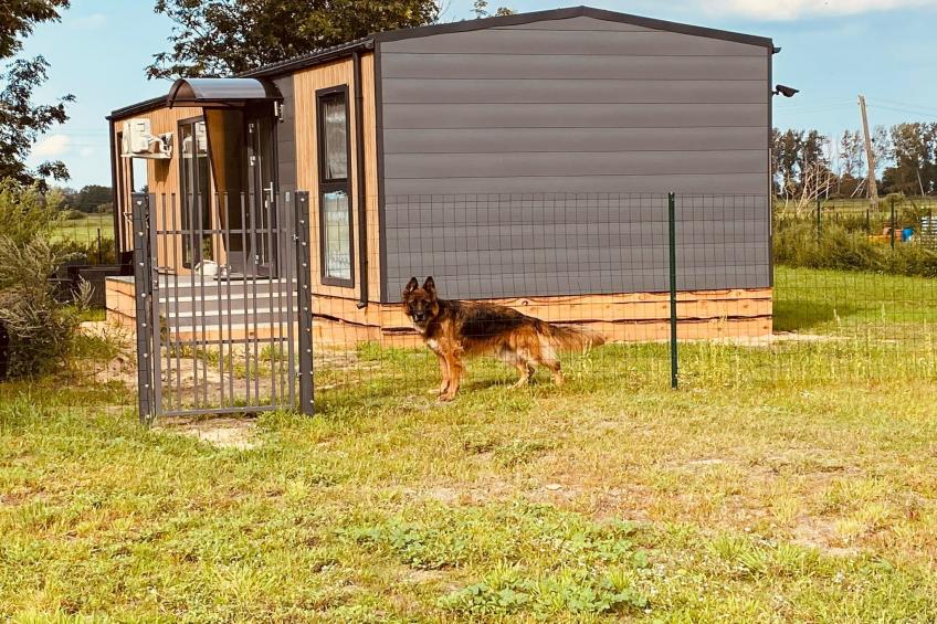 Ferienhaus Inselblick in Nowe Warpno - foto 3