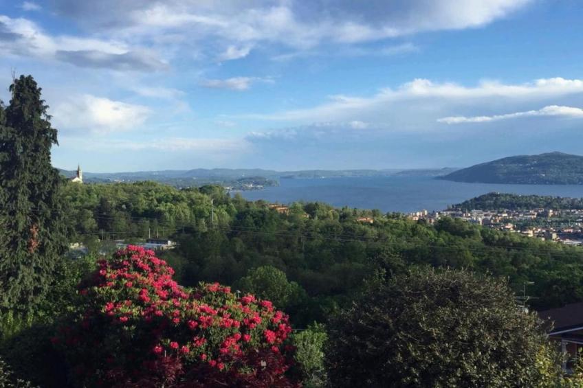 Simonetta Vignone - foto 35