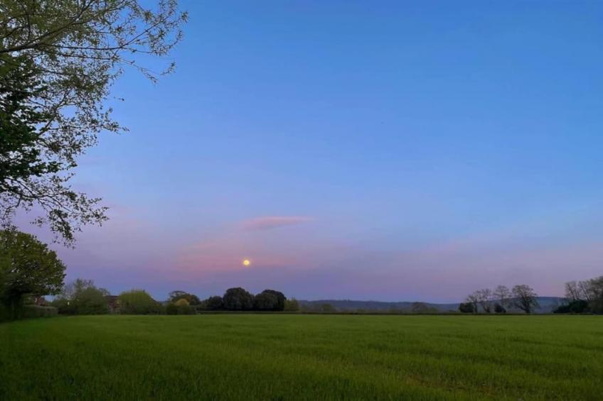 Higher House - foto 33