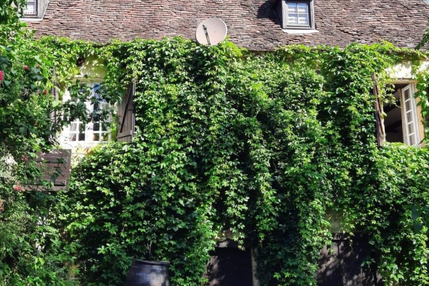 Landhaus in der Dordogne - foto 37