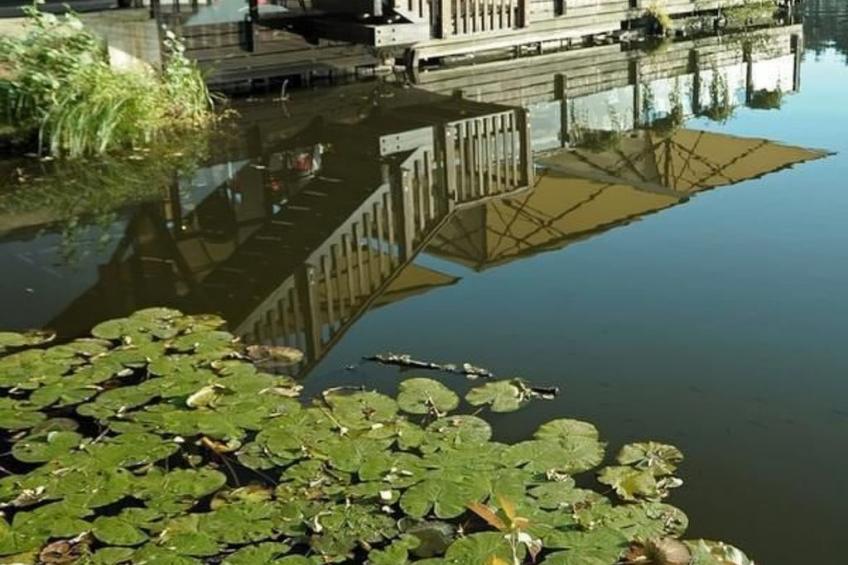 Feienhaus Gregor - foto 6