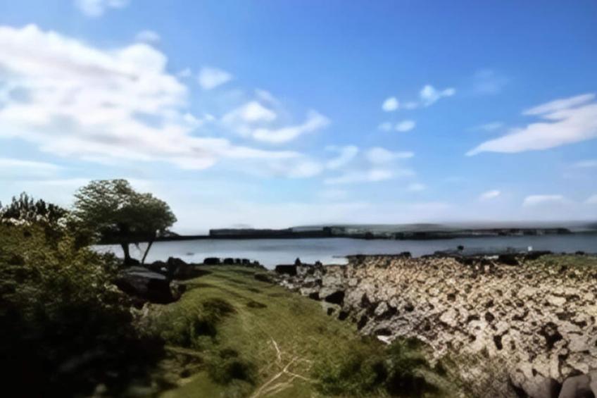 Maison à Ballinrobe Mayo - foto 34