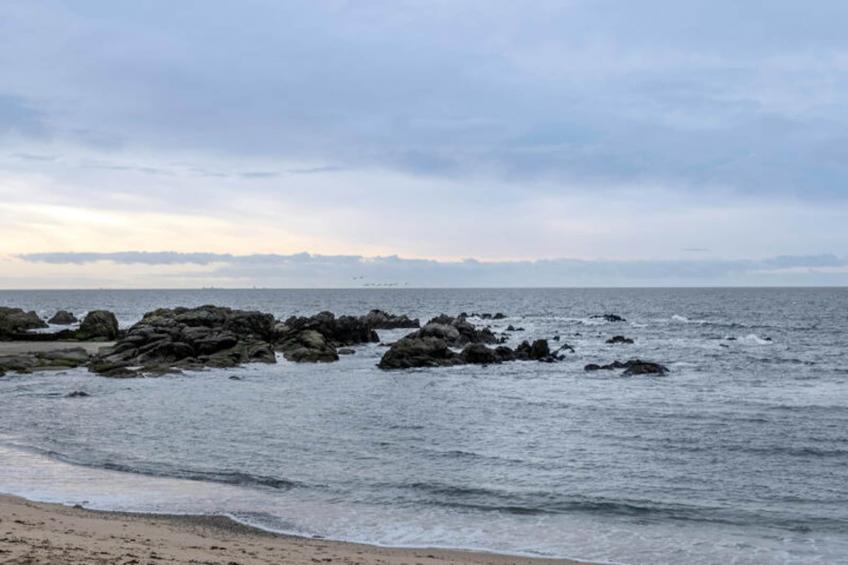 Appartements à Le Croisic - foto 15