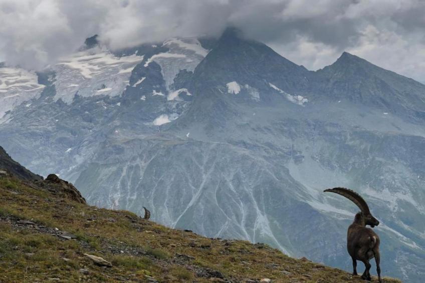 Résidence Le Hameau du Mottaret - foto 27