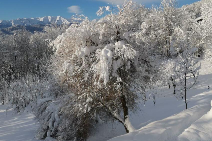 Casa Bella Vista - foto 31