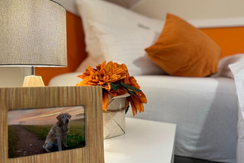 Zandtissimo79 - foto 18