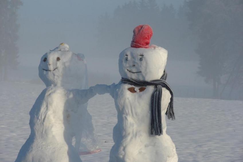 Snowview Lodge - foto 35