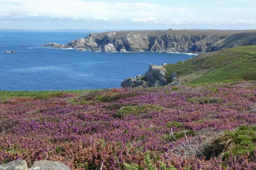 Les Terrasses de l’Océan 1 - foto 21