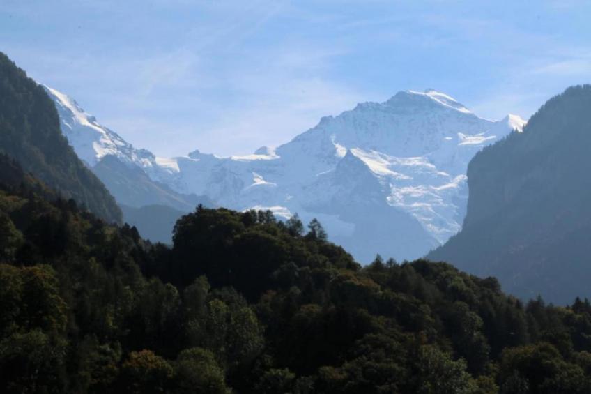 Haus Zumbrunn - foto 29