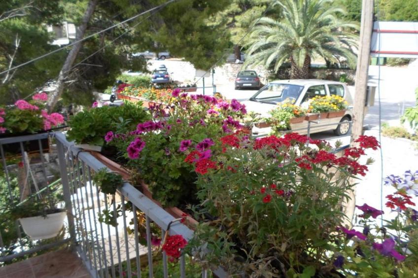 Guest House Sobra 38 - Double Room  with Garden View  3 - foto 37
