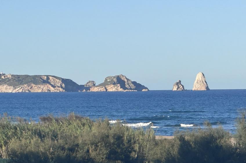 Port Pals A - foto 28