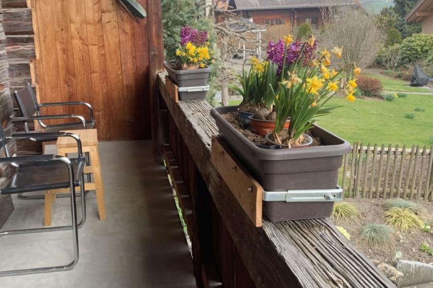 Gartenstudio "Belle Vue" - foto 7