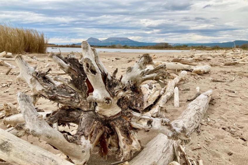 CATALONIA 3-9 - foto 32