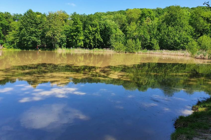 Ferienapartment Schlummerhausen - foto 14