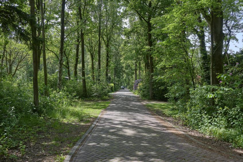 Brabants licht - foto 34