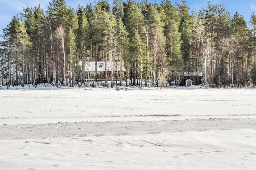 Koli, sammonranta - foto 62