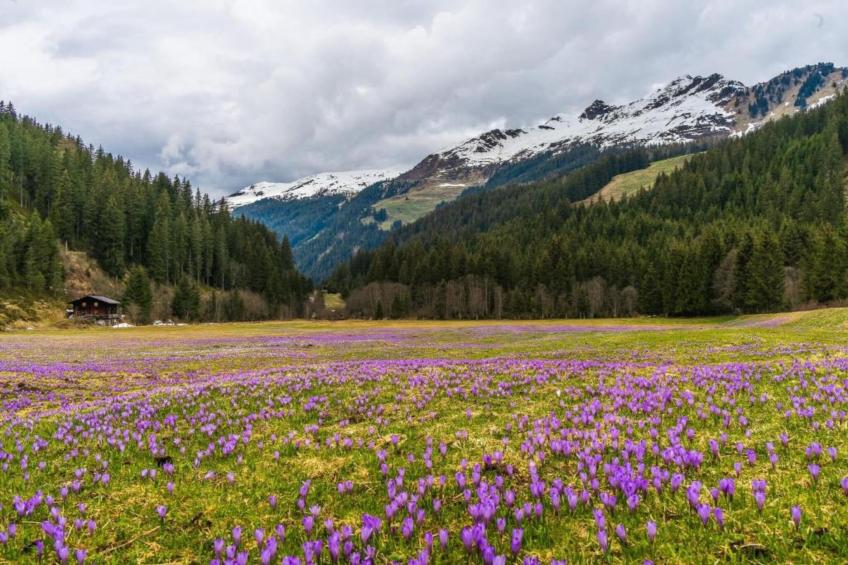 Kirchenbauer - foto 29