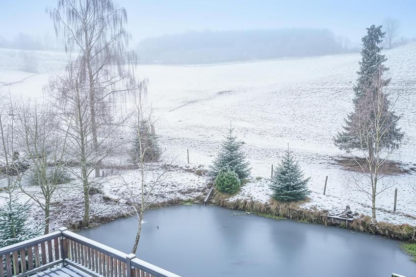 Am Damwildgehege I - foto 42