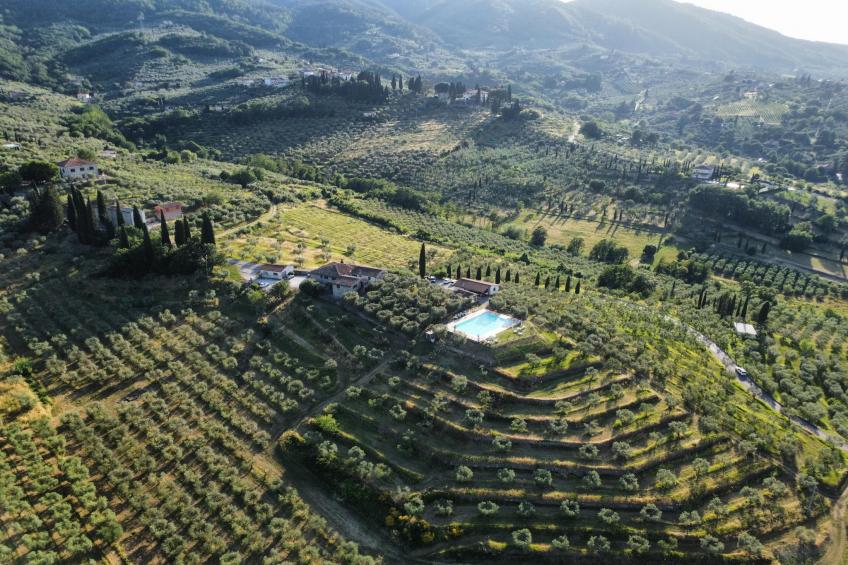 La Casa dei Cinque Olivi - foto 41