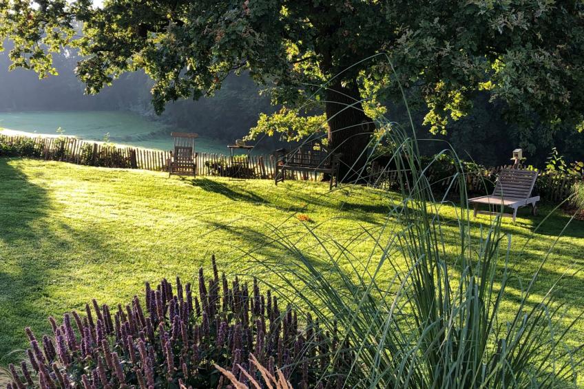 Gartenblick - foto 5