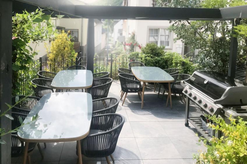 Olive Tree - foto 16