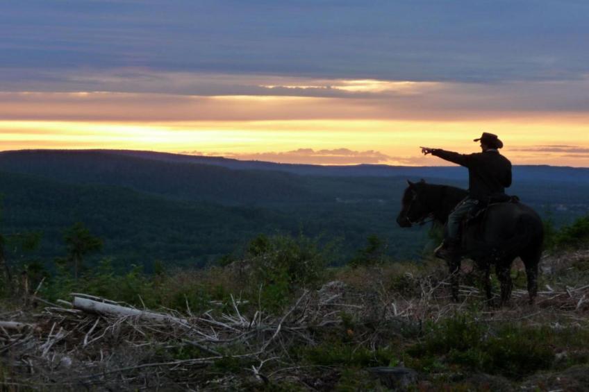 Letafors Herrgård - foto 30