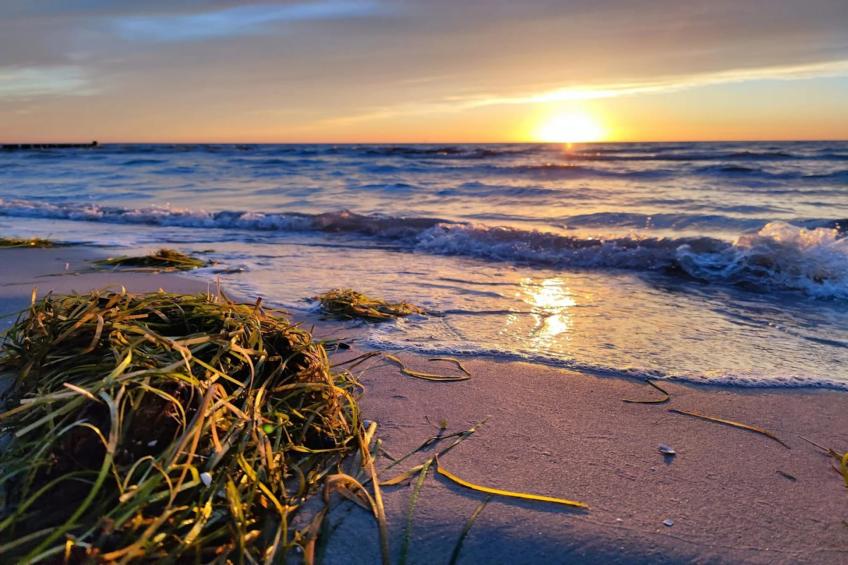 Appartementen Post Hiddensee, Vitte - Type B - foto 34