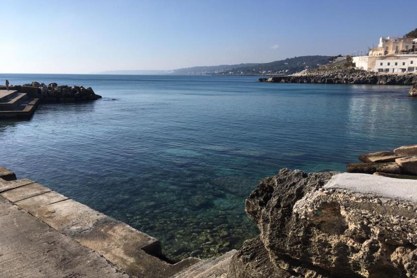 Elba Wohnung am Meer. - foto 13